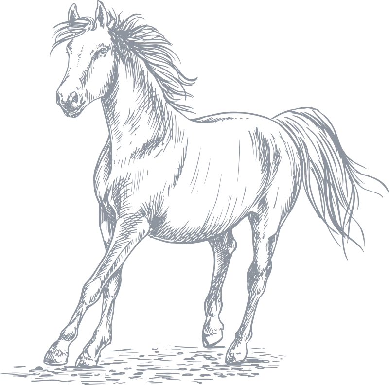 Penny's Hill Beach Club iconography - horse