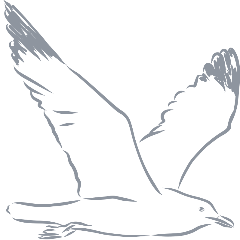 Penny's Hill Beach Club iconography - seagull